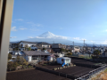 彼岸近い