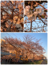 時代♪