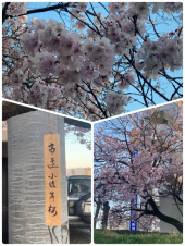 時代♪ 画像2