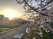 夢？♪ 画像1