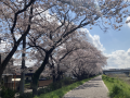 春雷♪