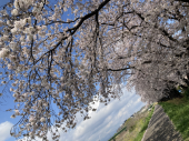 春雷♪ 画像2