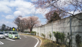 昨日は順調でした…↑ 画像2