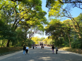 明治神宮