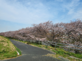 荒川！ 画像2