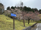 no title 画像3