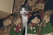 no title 画像3