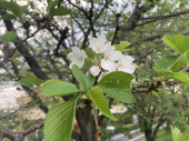 童話♪ 画像1
