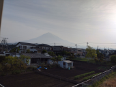 鰻 画像1