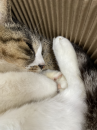 真夜中の