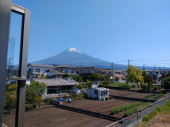 洗濯干すところがなくなる位たくさん 画像1