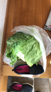 BIGキャベツ♪ 画像1