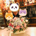 万ちゃん記 (2218）【 10周年 】～今回(今年)こそリバウンドしない！