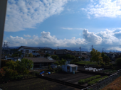 出社前の散歩 画像2
