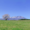 岩手山…↓
