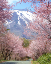岩手山…↓ 画像2