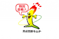 発酵キムチ