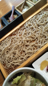 2023/6/1/初ヤモリ 画像1