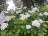 折り合い♪ 画像1
