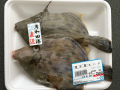 カワハギの煮付け