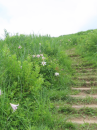 1ヶ月ぶりの登山