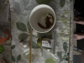 7月5日（水）雨