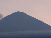痒くて不調 画像1