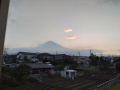 お茶は自分流がいい
