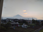 お茶は自分流がいい 画像1