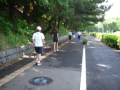 晴れ
