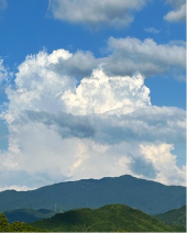 ７月も終わり 画像2