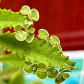 ７月も終わり 画像3