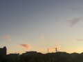 花火♪