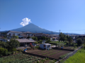 今日から仕事に行くよ
