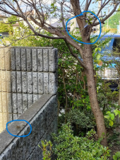 no title 画像2