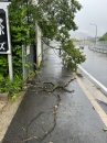 台風の休日