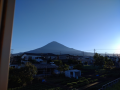 居ないで楽ですが気になる