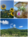 夏休み♪
