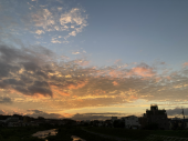 秋桜♪ 画像2