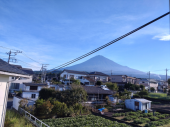 歯ブラシ 画像1