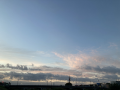 サボテンの花♪