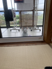 煮っ転がし 画像2