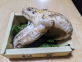 車イス と アメリカ松茸