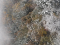 積雪です！