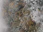 積雪です！ 画像2