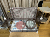 若炊あさり 画像3