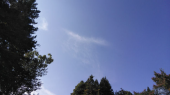 草刈しました…↓ 画像2