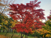 今年もあと２ヶ月 画像2