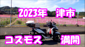 no title 画像2