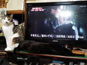 no title 画像2
